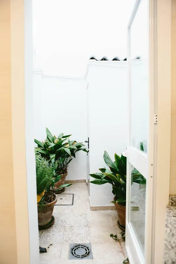 Mateo Aleman 22 Villa Seville Holiday home